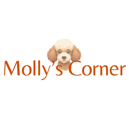 Modern Dog Bowl Set | Molly’s Corner